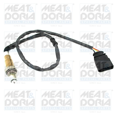 Oxygen Sensor